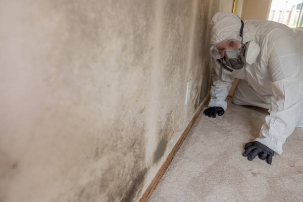 Mold Documentation for Insurance Claims in Strathmore, CA